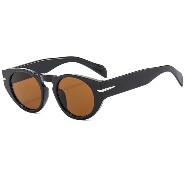 OEM Manufacturer Thick Frame Lunettes De Soleil Custom logo Vintage Retro Round Sun Glasses Sunglasses Men - Image 3