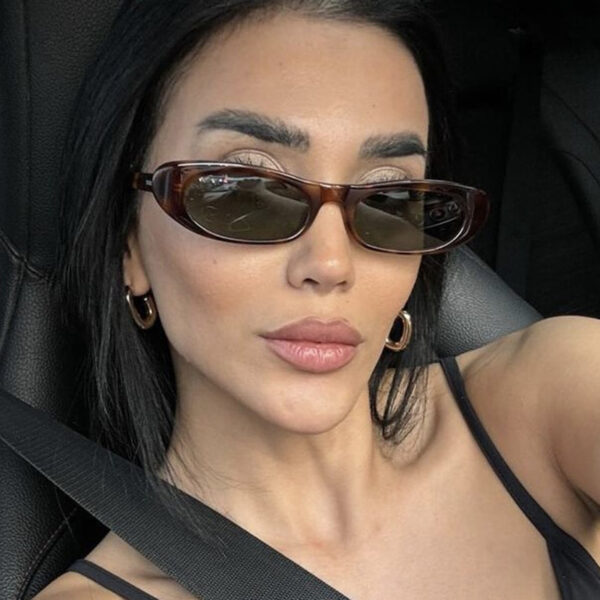 2025 New Designer Trendy Sun Glasses Classic Shades Custom Logo Retro Oval Small Ladies Cat Eye Women Sunglasses - Image 2