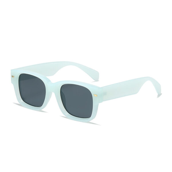 2025 Vintage Style Brand Square Frame Sun Glasses Shades with High Quality Unisex UV400 Designer Sunglasses for Women Men - Image 6